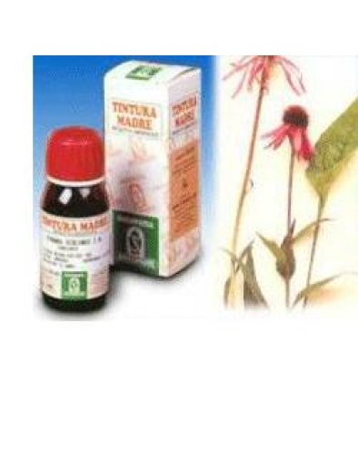 ECHINACEA 59 50ML TM