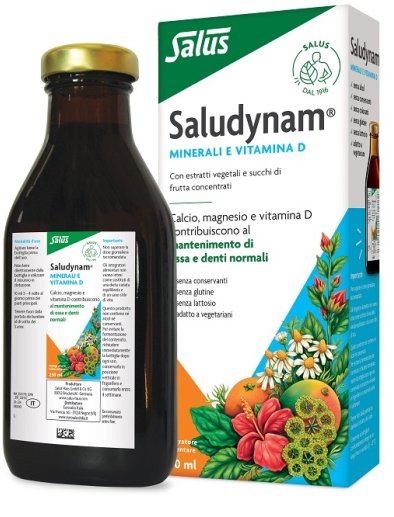 SALUDYNAM 250ML