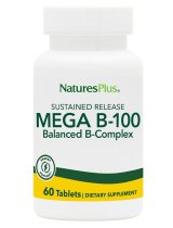 MEGA B100 60TAV