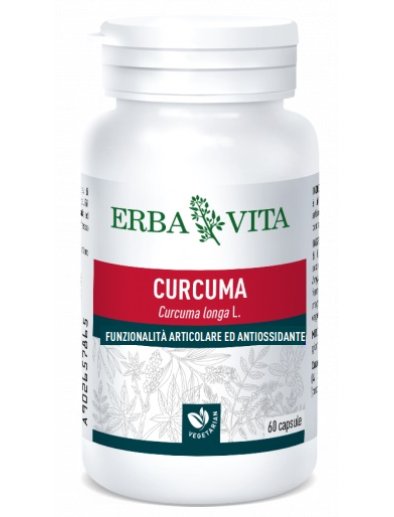 CURCUMA 60CPS 450MG