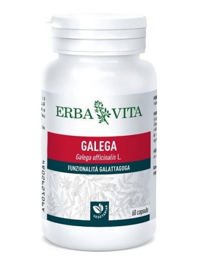 GALEGA 60CPS