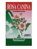 ROSA CANINA ERBE 75CPS