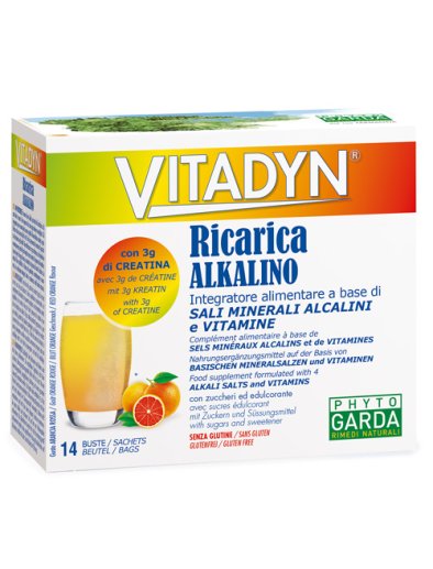 VITADYN RICARICA ALKALIN14BUST
