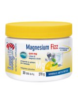LONGLIFE MAGNESIUM FIZZ 270G
