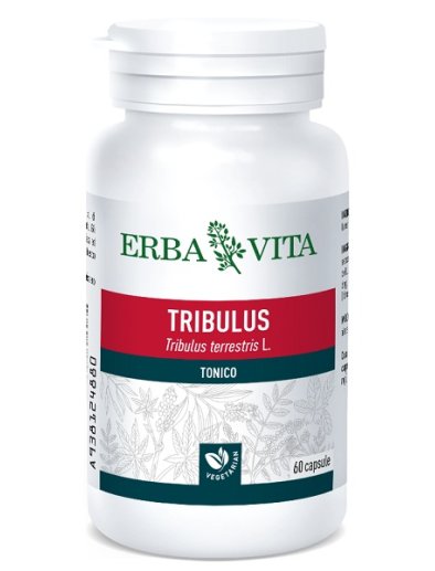 TRIBULUS TER 60CPS 500MG