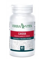 CAIGUA 60CPS 400MG