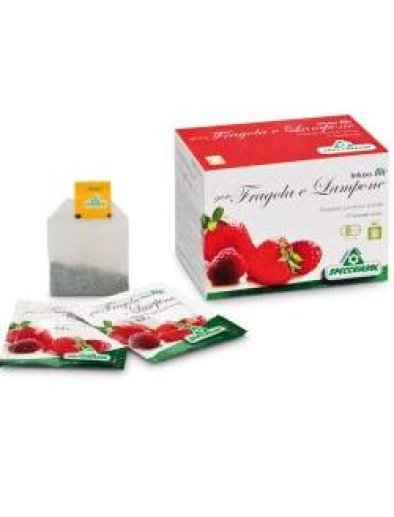 INFUSO FRAGOLA/LAMPONE 20FILT