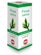 FICUS CARICA MG 100ML GTT