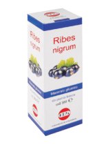RIBES NIGRUM MG 100ML GTT