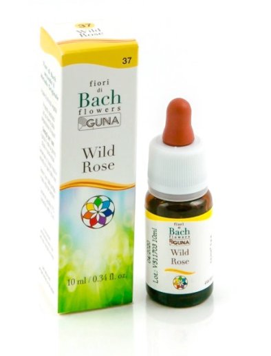 WILD ROSE GUN GTT 10ML