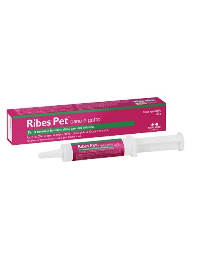 RIBES PET PASTA 30G