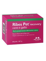 RIBES PET RECOVERY 60PRL