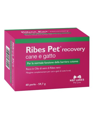 RIBES PET RECOVERY 60PRL