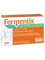 FERMENTIX PANCIA PIA/GONF20CPR