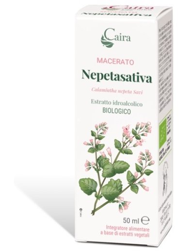 NEPETASATIVA MACERATO CAIRA