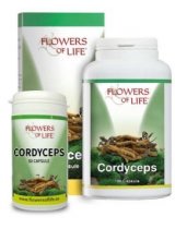 CORDYCEPS 100 CAPSULE FLOWERS OF LIFE