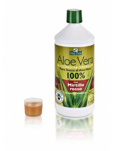 ALOE VERA SUCCO MIRTILLO 1L