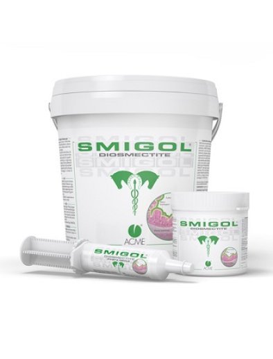 SMIGOL POLVERE 1KG