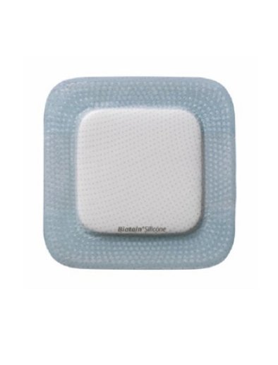 BIATAIN SIL ADES SACRO 15X19CM