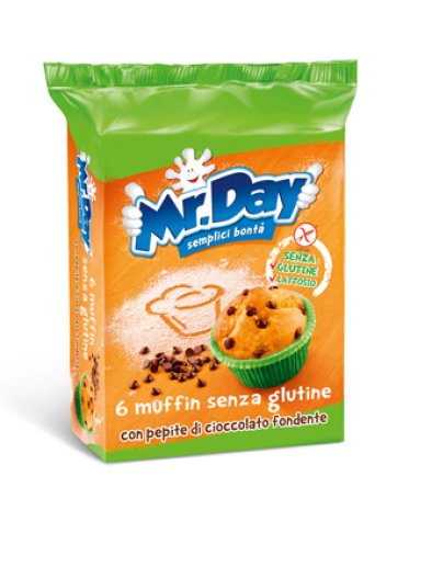 MR DAY MUFFIN C/PEPITE CIOC SG