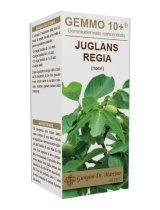 NOCE 100ML ANALCO GEMMO 10+