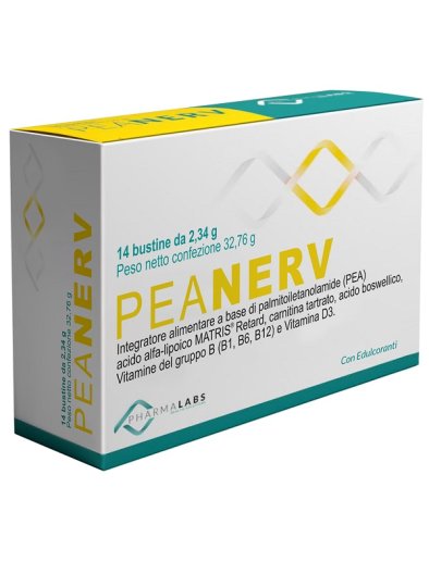PEANERV BUSTINE 14BUST