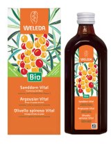 OLIVELLO SPINOSO VITAL SCIR