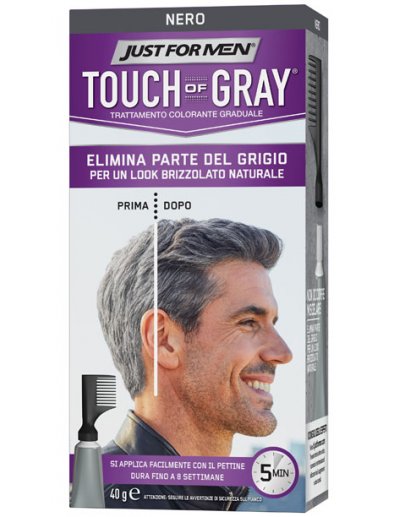 JUST FOR MEN TOUCH OF GRAY NE