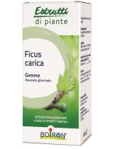 FICUS CARICA BOI MG 60ML INT