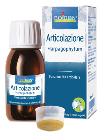 HARPAGOPHYTUM BOI EI 60ML INT