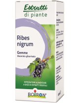 RIBES NIGRUM BOI MG 60ML INT