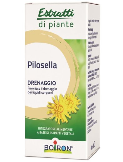 PILOSELLA BOI EI 60ML INT