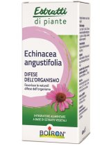 ECHINACEA ANG BOI EI 60ML INT