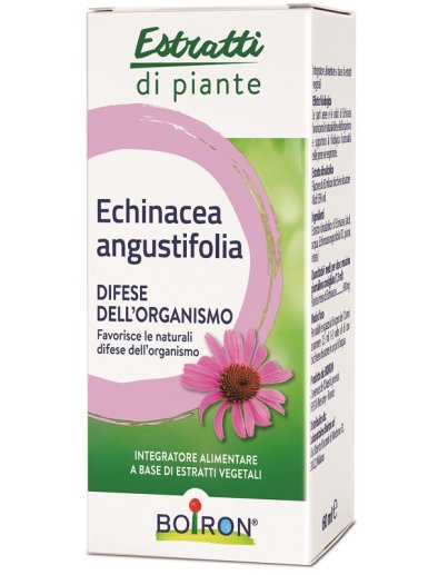 ECHINACEA ANG BOI EI 60ML INT