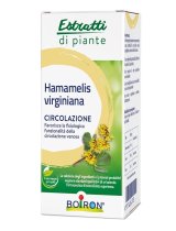 HAMAMELIS VIR BO EI 60ML INT