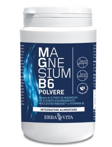 MAGNESIUM B6 POLV 200G