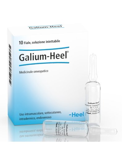 GALIUM 10F 1,1ML HEEL