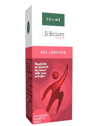 SILICIUM FLEX GEL 100ML