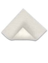 MELGISORB PLUS MED AS10X10 10P