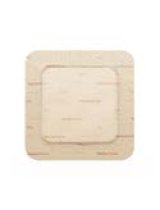 MEPILEX BORDER FLEX 10X10 5PZ
