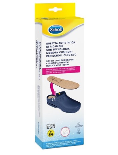 CLOG EVO MEM CUS UNI TAU 40-41
