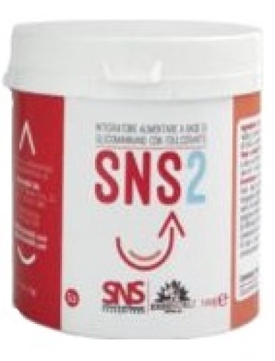 SNS2 100G