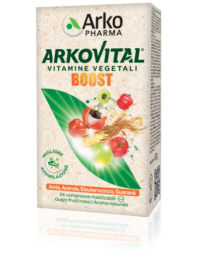 ARKOVITAL BOOST 24CPR