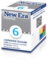 NEW ERA 6 240GR