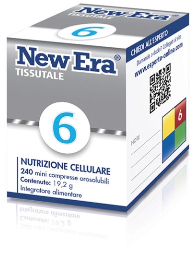 NEW ERA 6 240GR