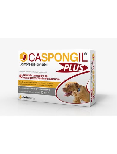 CASPONGIL PLUS 30CPR