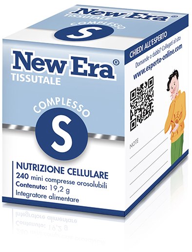 NEW ERA S 240GR