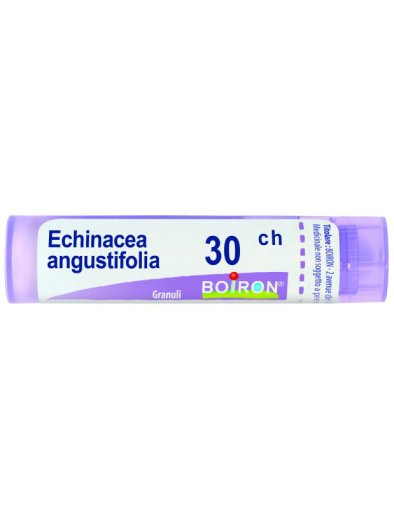ECHINACEA ANGUST 30CH GR