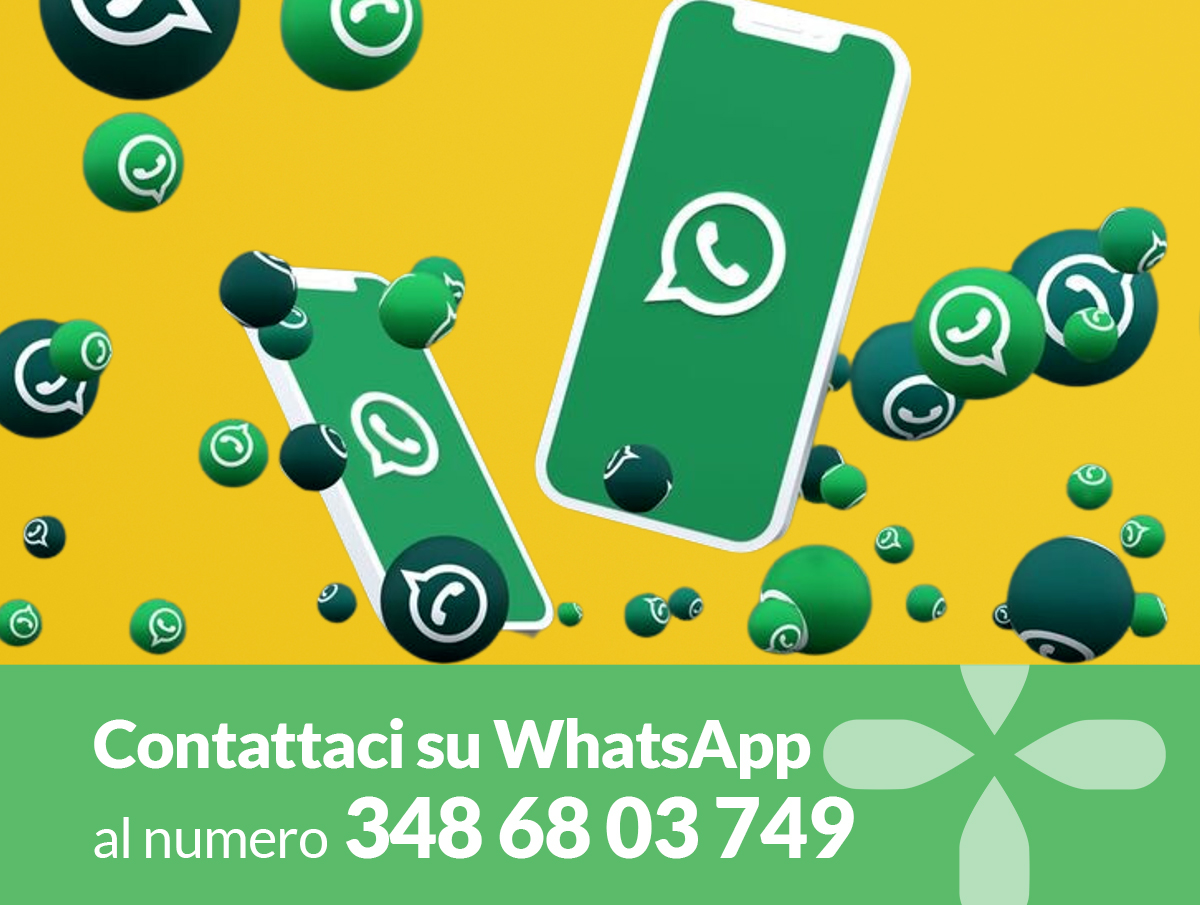 Contattaci su WhatsApp al numero 348 68 03 749